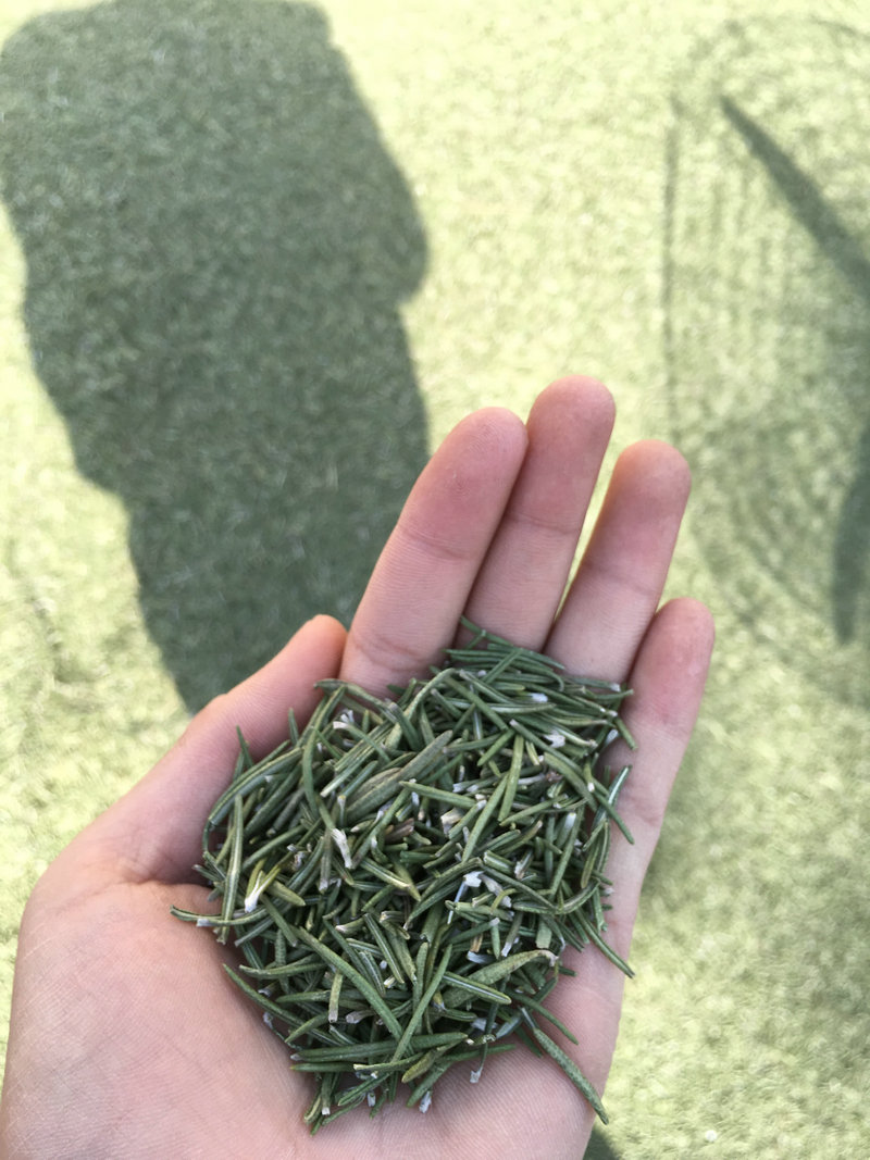 金彩汇干叶提取物