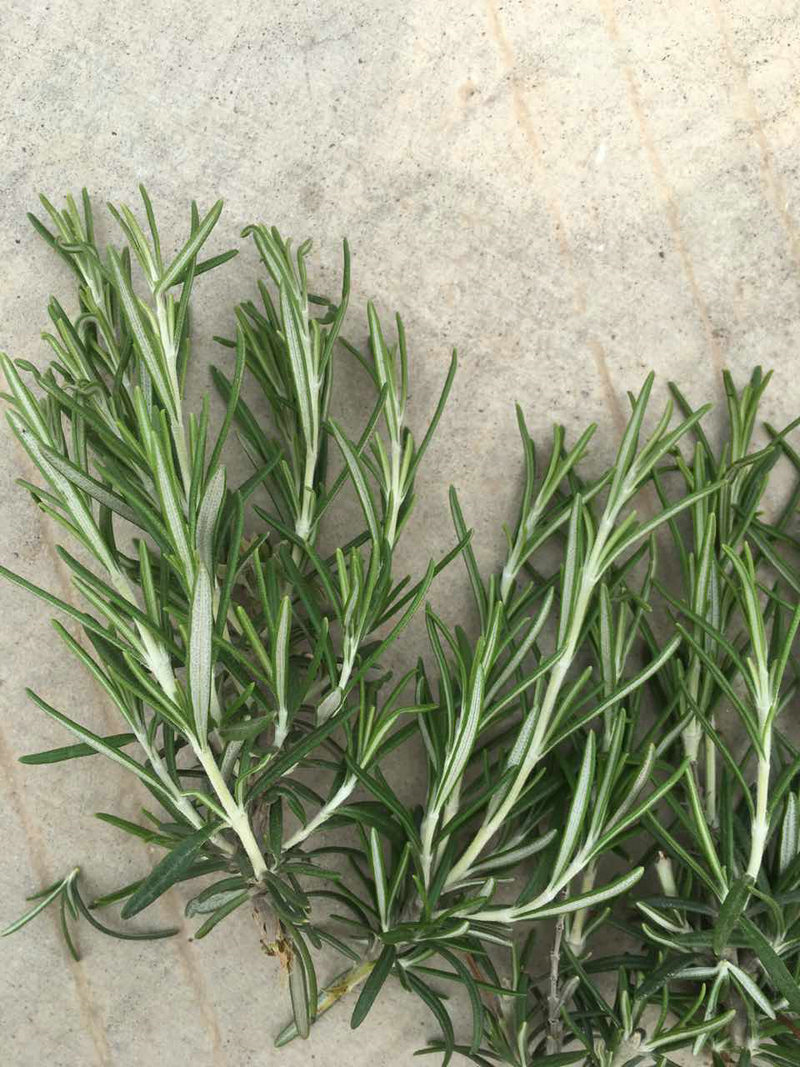 樟脑金彩汇香料